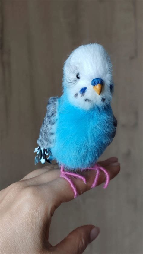 Made To Order Blue Budgie Realistic Plush Toy Etsy