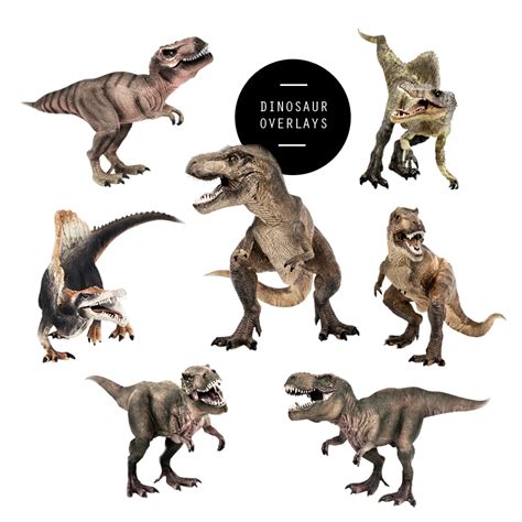 ► please like ✯ comment ✯ subscribe to my channel to see more interesting videos!download link. Squijoo Dinosaur Overlays | Squijoo.com