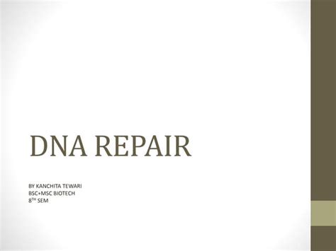 Dna Repair Ppt