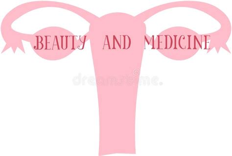 Sistema Reproductivo Femenino Cartel Ilustraci N Del Vector
