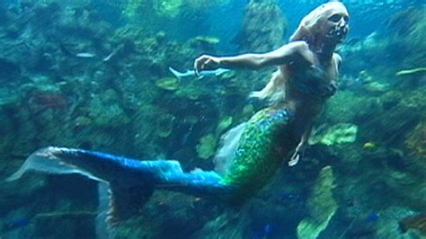 Real Life Mermaid Swims At Atlantis Video ABC News