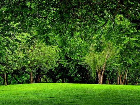 234 Hd Wallpaper Green Scenery Images And Pictures Myweb