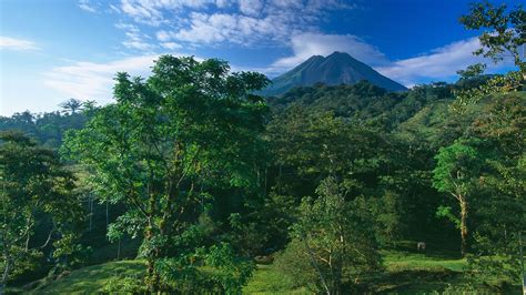 Arenal Volcano National Park In Northern Costa Rica Windows Spotlight