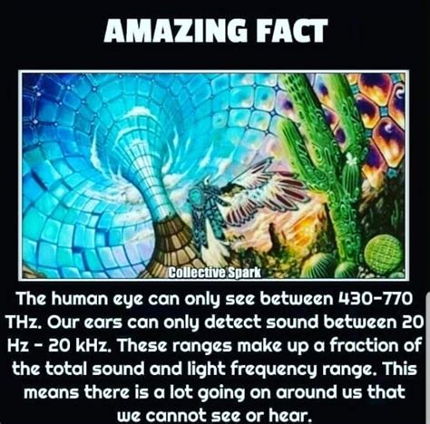 Perception Cool Science Facts Unbelievable Facts Science Facts