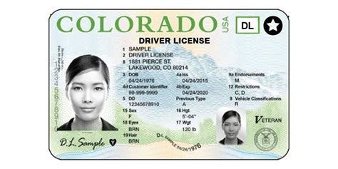Colorado Driver License Licenseroute Unlimited Dmv Practice Tests