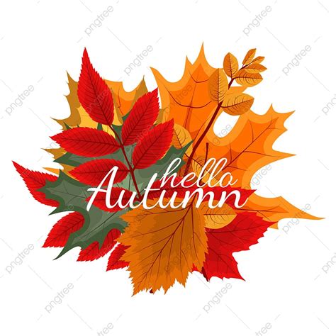 Fall Autumn Leaves Vector Design Images Abstract Vector Illustration
