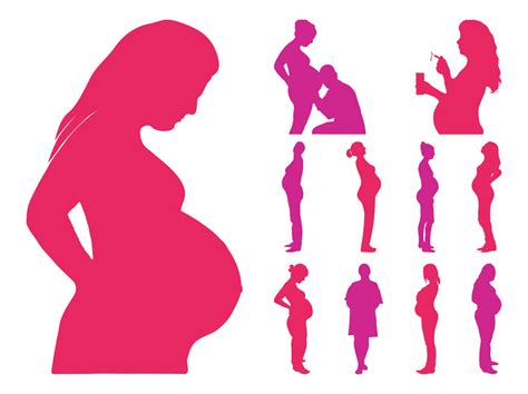 Pregnancy Silhouettes Vector Art And Graphics