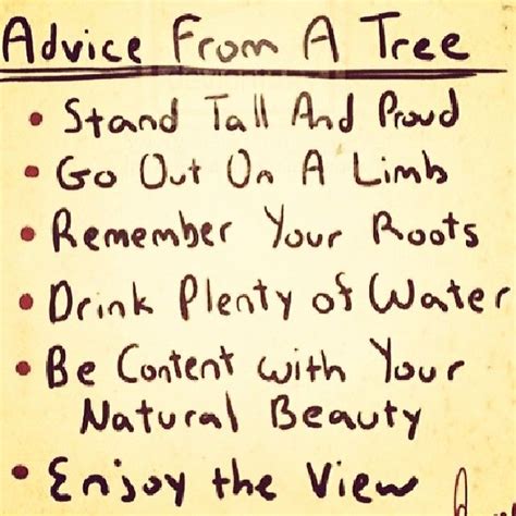 Listen To The Trees Words Wise Words Good Advice