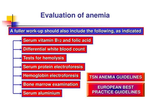 PPT - Anemia Guidelines and The Use of Erythropoietin in ...