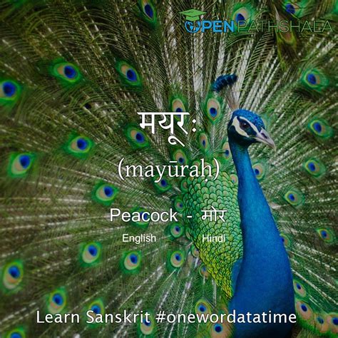 See more of sikkim on facebook. Sikkim Animals Name In Sanskrit - Sanskrit Names Of ...