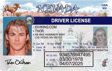 Nevada Nv Drivers License Psd Template Download Idviking Best