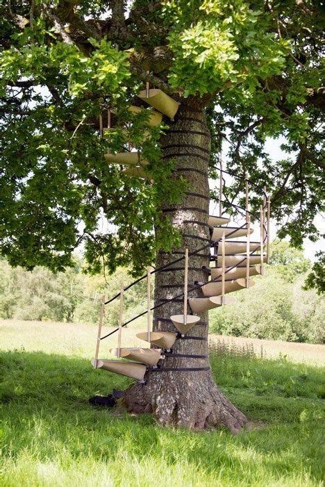 Theyve Invented A Portable Staircase That Turns Any Tree Into A
