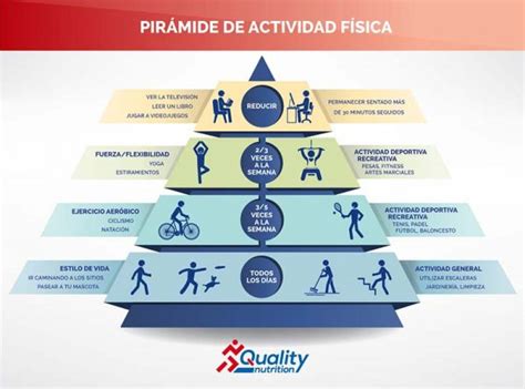 La Pirámide De La Actividad Física Quality Nutrition Nutrición