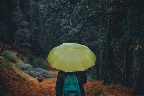 Free Photo Photography Of A Person Holding Yellow Umbrella Adventure Outdoors Weather