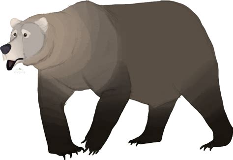California Grizzly Bear Grizzly Bear Clipart Large Size Png Image