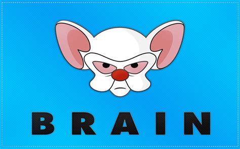 Pinky And The Brain Wallpapers Wallpaper Cave