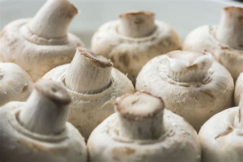 Die pilze in den alpen breiteten sich somit nicht zufällig aus, sondern hätten spezifische lebensräume, die vom boden, klima und dem pflanzenwuchs. Champignons schimmeln » Was ist der weiße Flaum?