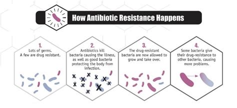 Our research has helped over 200 million users find the best products How to Properly Take Probiotics with Antibiotics | Yuri Elkaim