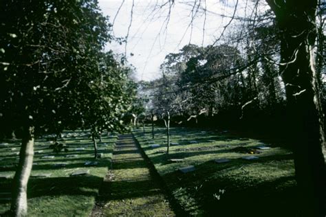 Sdcc Source Moravian Graveyard Whitechurch