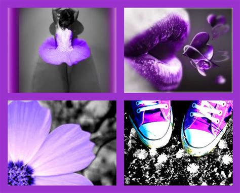 √ Things That Are Purple