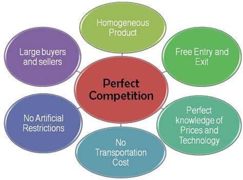 Characteristics Of A Perfect Market What Are The Characteristics Of