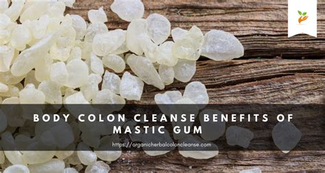 Body Benefits Of Herbal Mastic Gum Colon Cleansing Mastic Gum