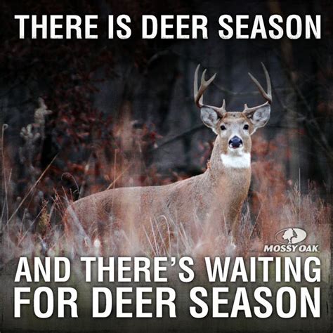 Deer Season Deer Hunting Humor Hunting