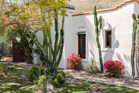 19 Desert Landscaping Ideas To Try