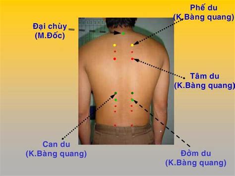 Cách Bấm Huyệt Chữa Đau Lưng Tại Nhà Hướng Dẫn Từ A Z Vhea