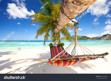 Romantic Cozy Hammock In The Shadow Of The Palm On The Tropical Beach