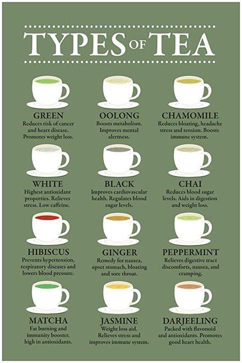 Laminated Tea Drink Types Chart Poster Health Benefits Diagram