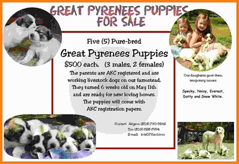 96 Customize Our Free Puppy For Sale Flyer Templates In Photoshop For