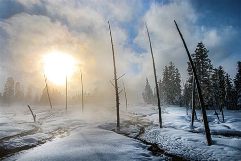 Yellowstone National Park Is Even More Magical In Winter Than Summer