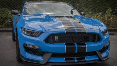 Top 6 Dual Color Stripes On The Mustang Themustangsource