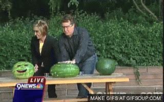 Watermelon Exploding Gif Find Share On Giphy
