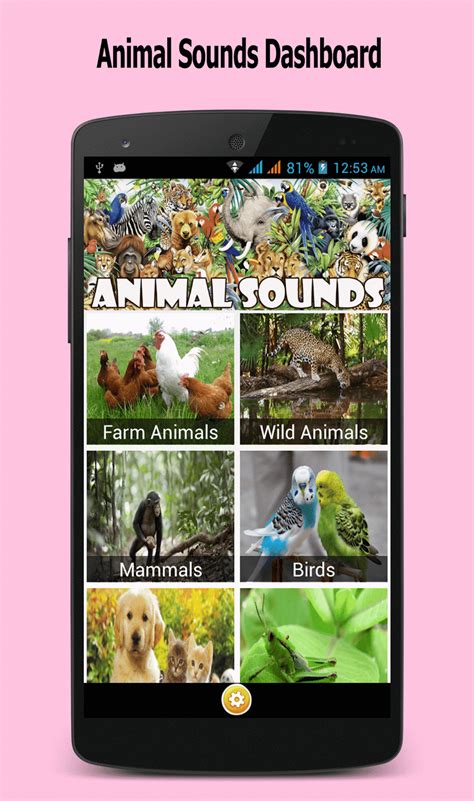 Animal Sounds For Kids 100 Animal Sounds