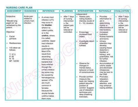 Nursing Care Plan For Infection Prevention Image To U