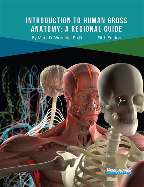 Introduction To Human Gross Anatomy A Regional Guide Van Griner Learning