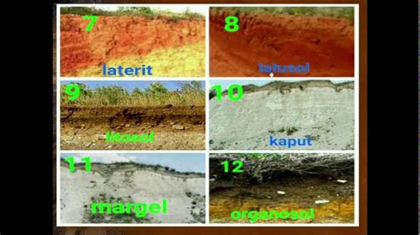 Jenis Jenis Karakteristik Dan Persebaran Tanah Di Indonesia Riset