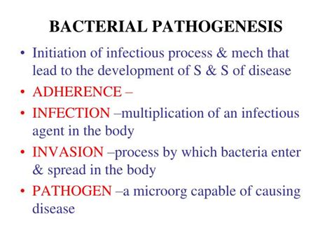 Ppt Bacterial Pathogenesis Powerpoint Presentation Free