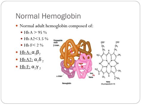 Hemoglobin Types