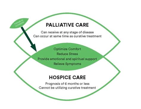 Palliative Care Treatment Three Oaks Hospice