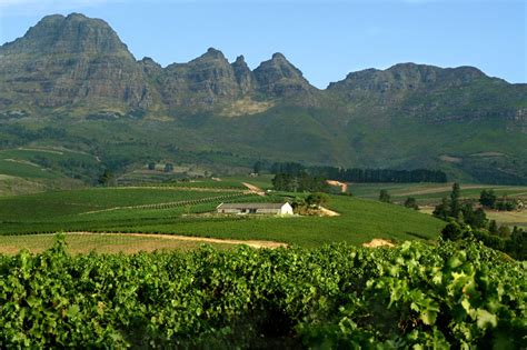 Cape Winelands Day Tour