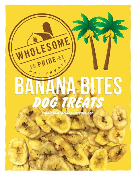Pawsitively Gourmet Cookies Wholesome Pride Banana Bites Meat Toys