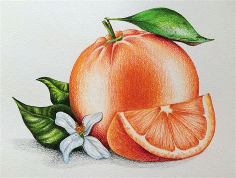 Shading Color Pencil Drawing Ideas Easy Bmp Name