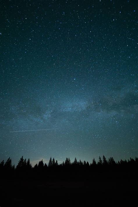 Tree Silhouette Sky Night Milky Way Image Free Photo