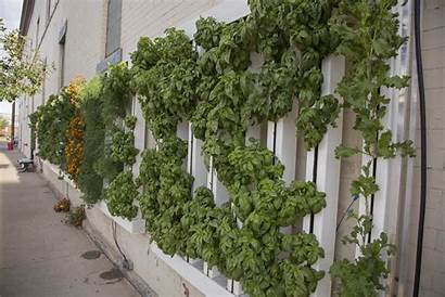 Vertical Gardens Community Grants Wyoming Offering State