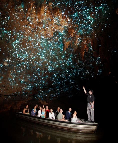 Waitomo Glow Worm Cave New Zealand The Paradise Is Out There