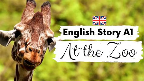 Beginner English Story 🦁 At The Zoo 🦒 A1 A2 Level 1 2 British