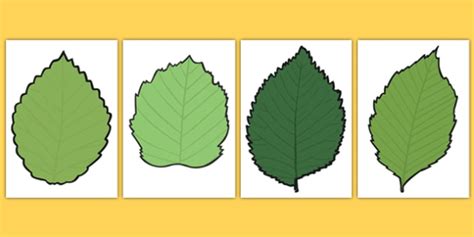 leaf templates